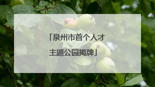泉州市首个人才主题公园揭牌