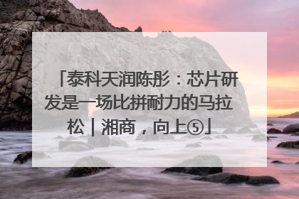 泰科天润陈彤：芯片研发是一场比拼耐力的马拉松｜湘商，向上⑤
