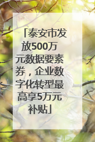 泰安市发放500万元数据要素券，企业数字化转型最高享5万元补贴