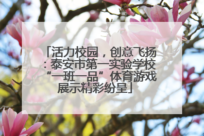 活力校园，创意飞扬：泰安市第一实验学校“一班一品”体育游戏展示精彩纷呈