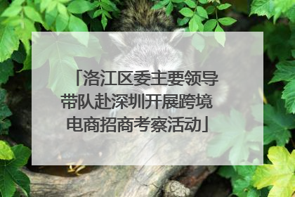 洛江区委主要领导带队赴深圳开展跨境电商招商考察活动