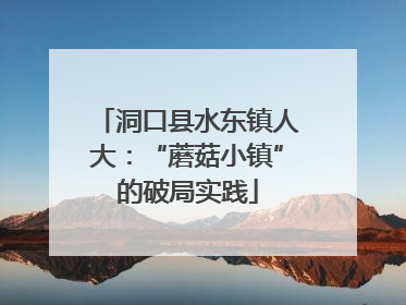 洞口县水东镇人大：“蘑菇小镇”的破局实践