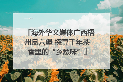 海外华文媒体广西梧州品六堡 探寻千年茶香里的“乡愁味”