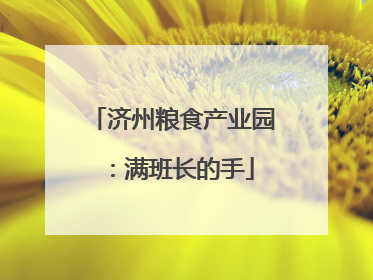 济州粮食产业园：满班长的手