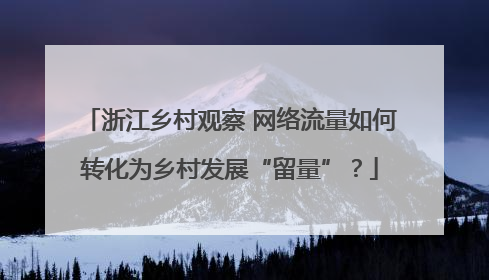 浙江乡村观察 网络流量如何转化为乡村发展“留量”？
