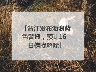 浙江发布海浪蓝色警报，预计16日傍晚解除
