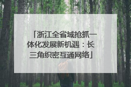 浙江全省域抢抓一体化发展新机遇：长三角织密互通网络