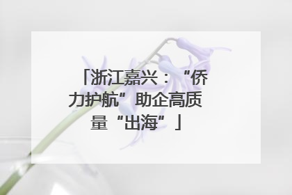 浙江嘉兴：“侨力护航”助企高质量“出海”