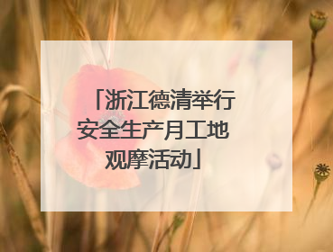 浙江德清举行安全生产月工地观摩活动