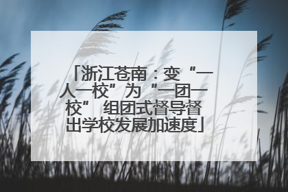 浙江苍南：变“一人一校”为“一团一校” 组团式督导督出学校发展加速度