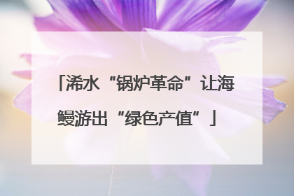 浠水“锅炉革命”让海鳗游出“绿色产值”