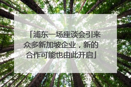 浦东一场座谈会引来众多新加坡企业，新的合作可能也由此开启