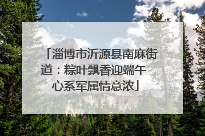 淄博市沂源县南麻街道：粽叶飘香迎端午 心系军属情意浓