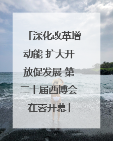 深化改革增动能 扩大开放促发展 第二十届西博会在蓉开幕