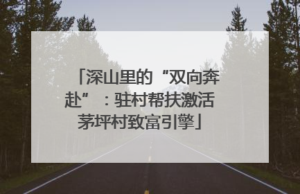 深山里的“双向奔赴”：驻村帮扶激活茅坪村致富引擎