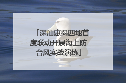 深汕惠揭四地首度联动开展海上防台风实战演练
