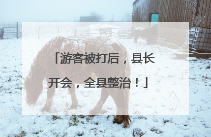 游客被打后，县长开会，全县整治！