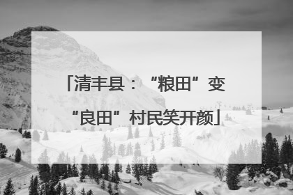 清丰县：“粮田”变“良田”村民笑开颜