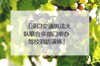 渌口交通执法大队联合多部门举办驾校消防演练
