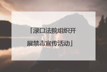 渌口法院组织开展禁毒宣传活动