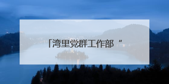 湾里党群工作部“大部制”改革：激活效能引擎，构建高效工作新格局