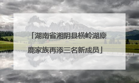湖南省湘阴县横岭湖麋鹿家族再添三名新成员