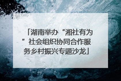 湖南举办“湘社有为”社会组织协同合作服务乡村振兴专题沙龙