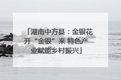 湖南中方县：金银花开“金银”来 特色产业赋能乡村振兴