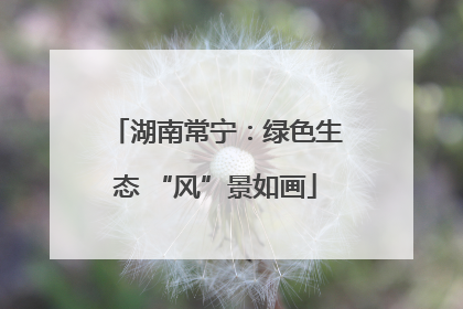 湖南常宁：绿色生态 “风”景如画