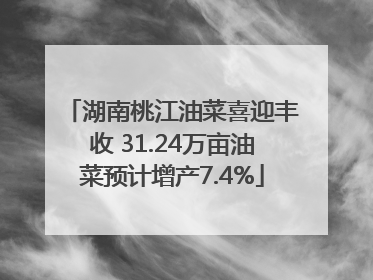 湖南桃江油菜喜迎丰收 31.24万亩油菜预计增产7.4%