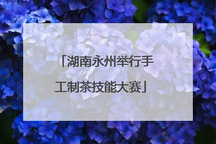 湖南永州举行手工制茶技能大赛