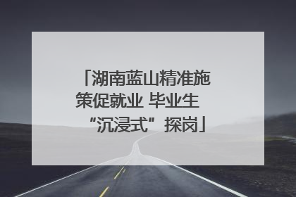 湖南蓝山精准施策促就业 毕业生“沉浸式”探岗