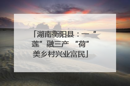 湖南衡阳县：一“莲”融三产 “荷”美乡村兴业富民