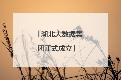 湖北大数据集团正式成立