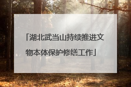湖北武当山持续推进文物本体保护修缮工作