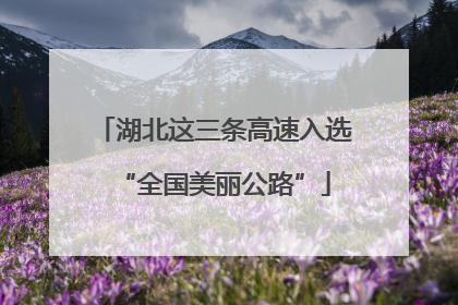 湖北这三条高速入选“全国美丽公路”