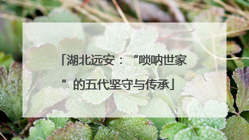湖北远安：“唢呐世家”的五代坚守与传承