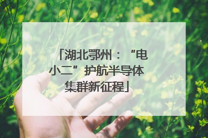 湖北鄂州：“电小二”护航半导体集群新征程