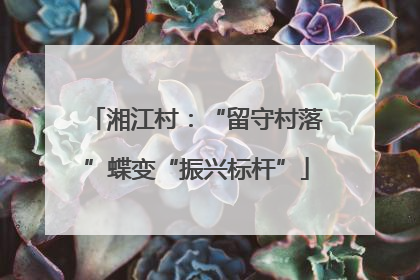 湘江村：“留守村落”蝶变“振兴标杆”