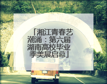 湘江青春艺潮涌：第六届湖南高校毕业季美展启幕