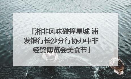 湘非风味碰撞星城 浦发银行长沙分行协办中非经贸博览会美食节
