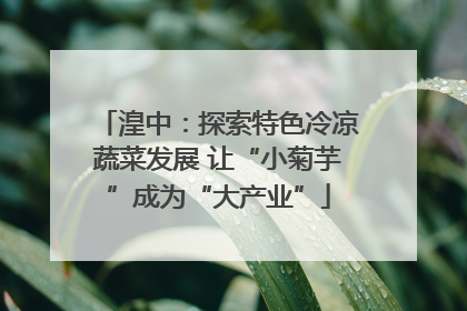 湟中：探索特色冷凉蔬菜发展 让“小菊芋”成为“大产业”