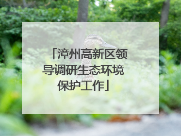 漳州高新区领导调研生态环境保护工作