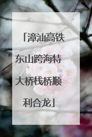 漳汕高铁东山跨海特大桥栈桥顺利合龙