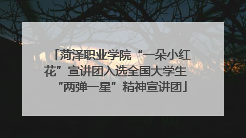菏泽职业学院“一朵小红花”宣讲团入选全国大学生“两弹一星”精神宣讲团
