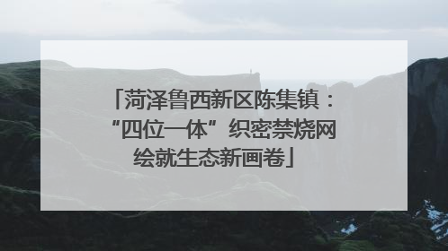 菏泽鲁西新区陈集镇：“四位一体”织密禁烧网 绘就生态新画卷