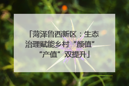 菏泽鲁西新区：生态治理赋能乡村“颜值”“产值”双提升