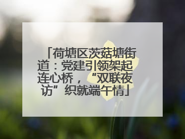 荷塘区茨菇塘街道：党建引领架起连心桥，“双联夜访”织就端午情