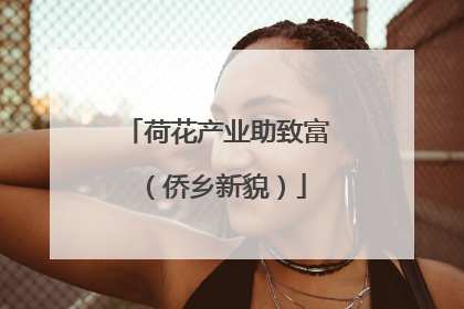 荷花产业助致富（侨乡新貌）