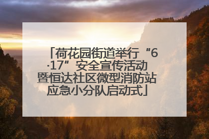 荷花园街道举行“6·17”安全宣传活动暨恒达社区微型消防站应急小分队启动式